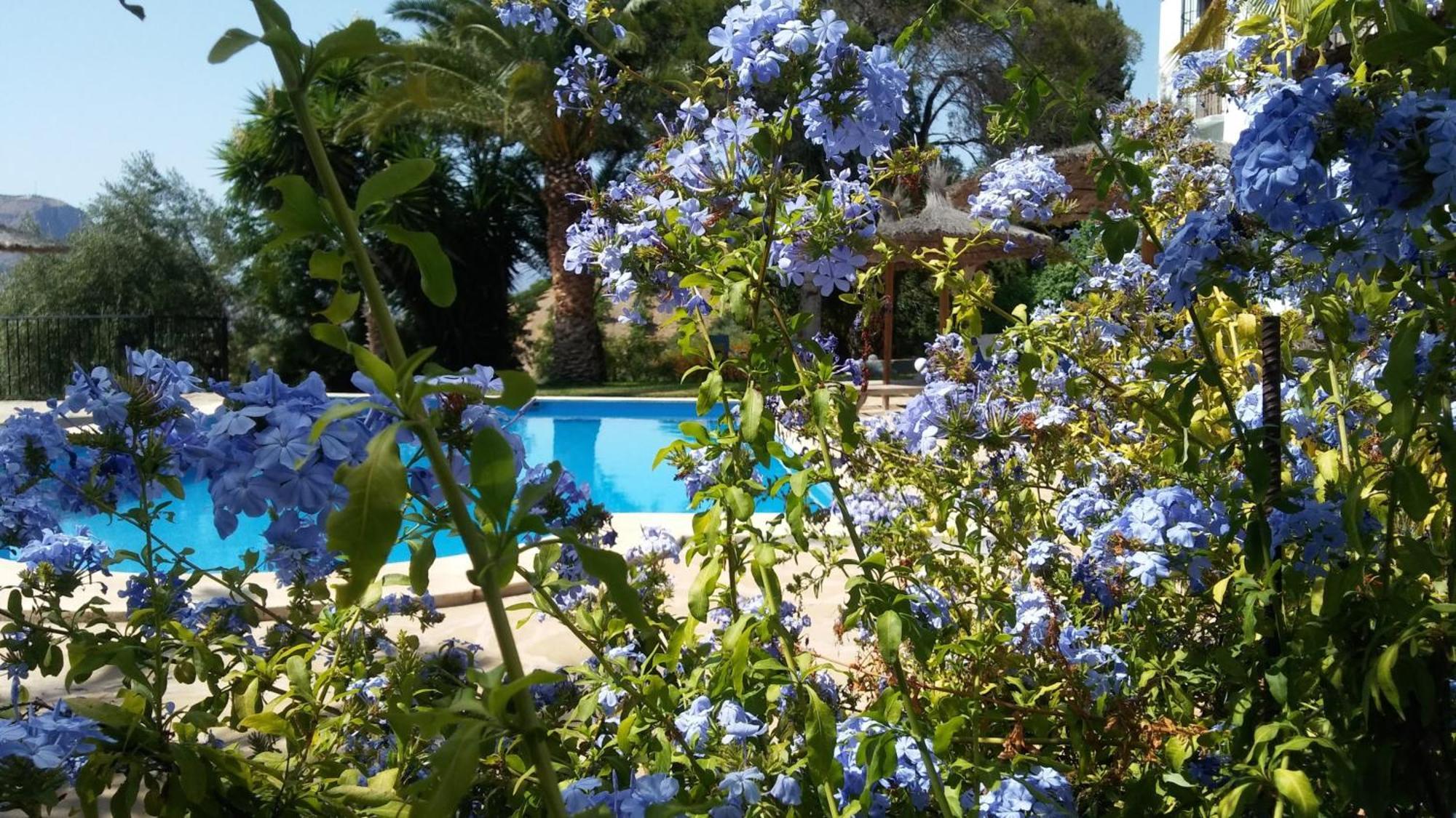 B&B Casa Domingo アロラ エクステリア 写真